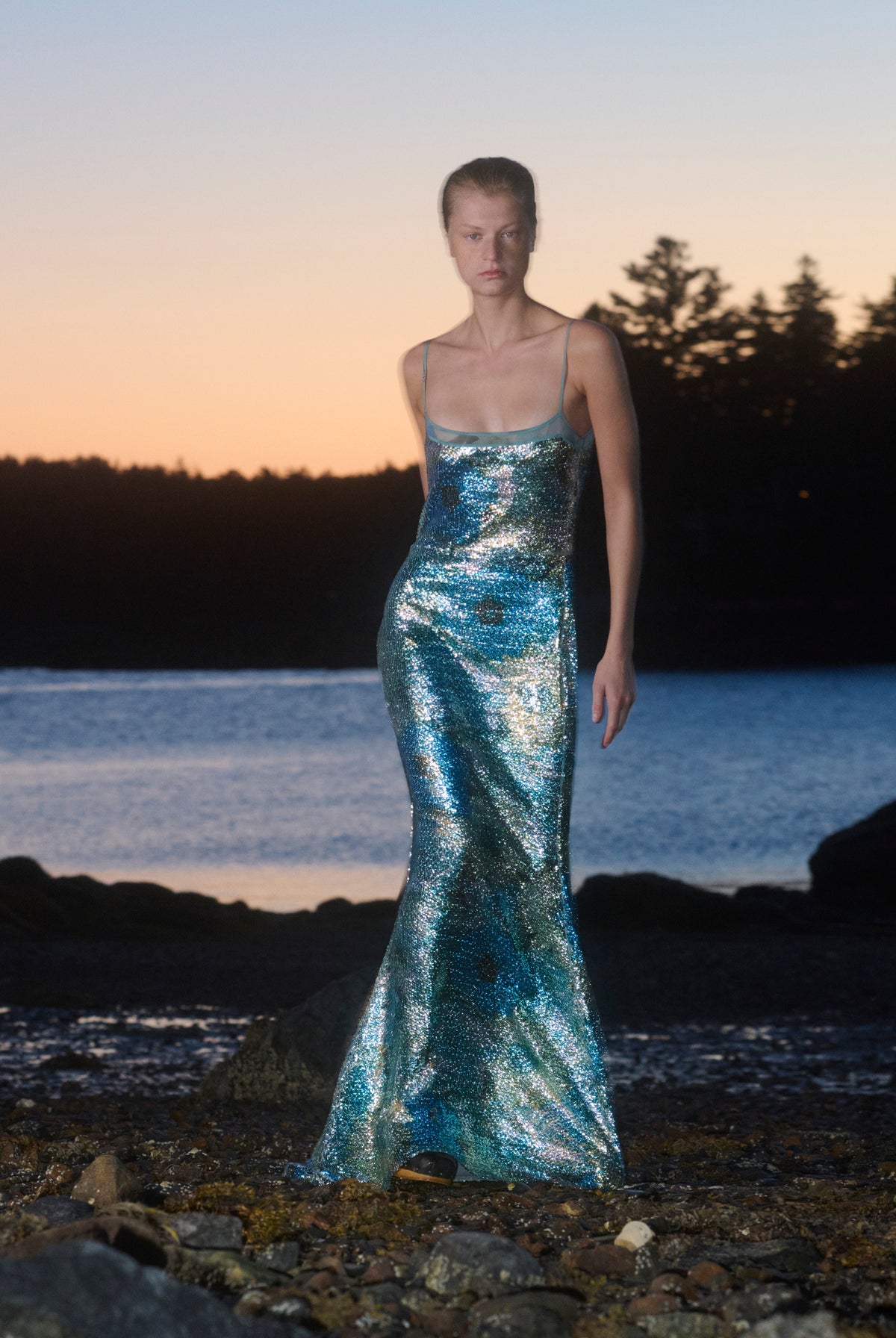 Silver Dew Sequin Gown