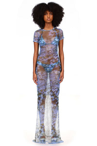 Superbloom Netting Printed Maxi Dress