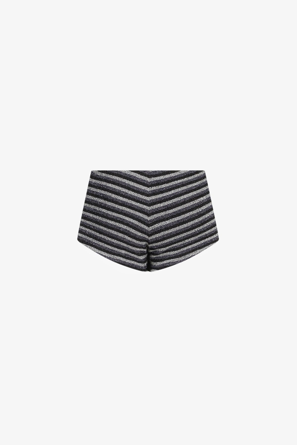 Metallic Stripes Swim Shorts