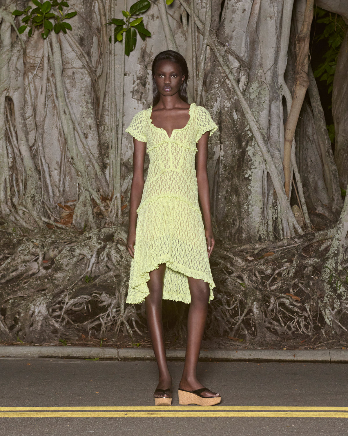 Citron Stretch Lace Midi Dress