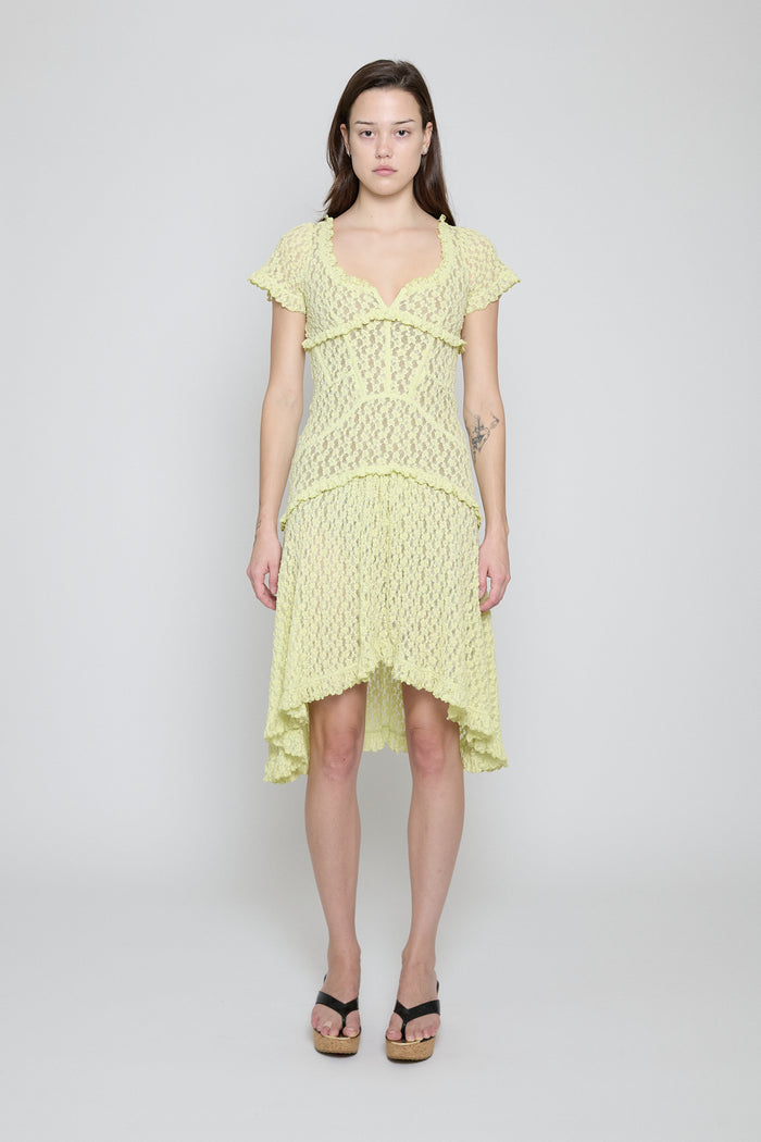 Citron Stretch Lace Midi Dress - Pre Order