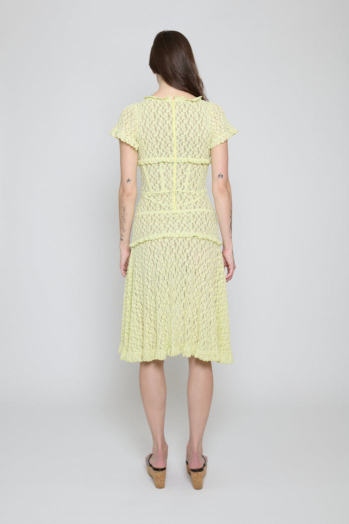 Citron Stretch Lace Midi Dress - Pre Order