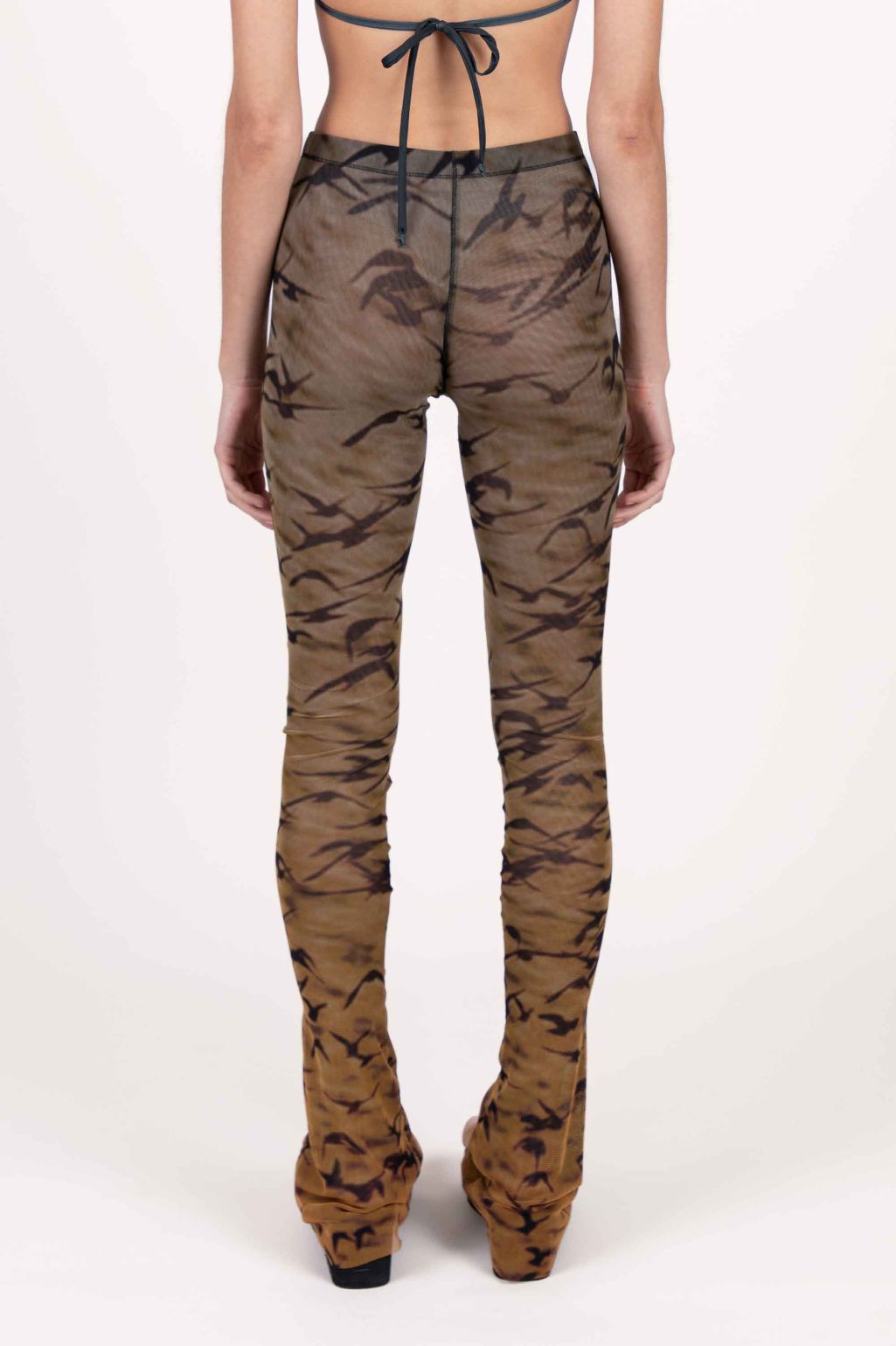 Sunset Sparrows Mesh Fitted Pants