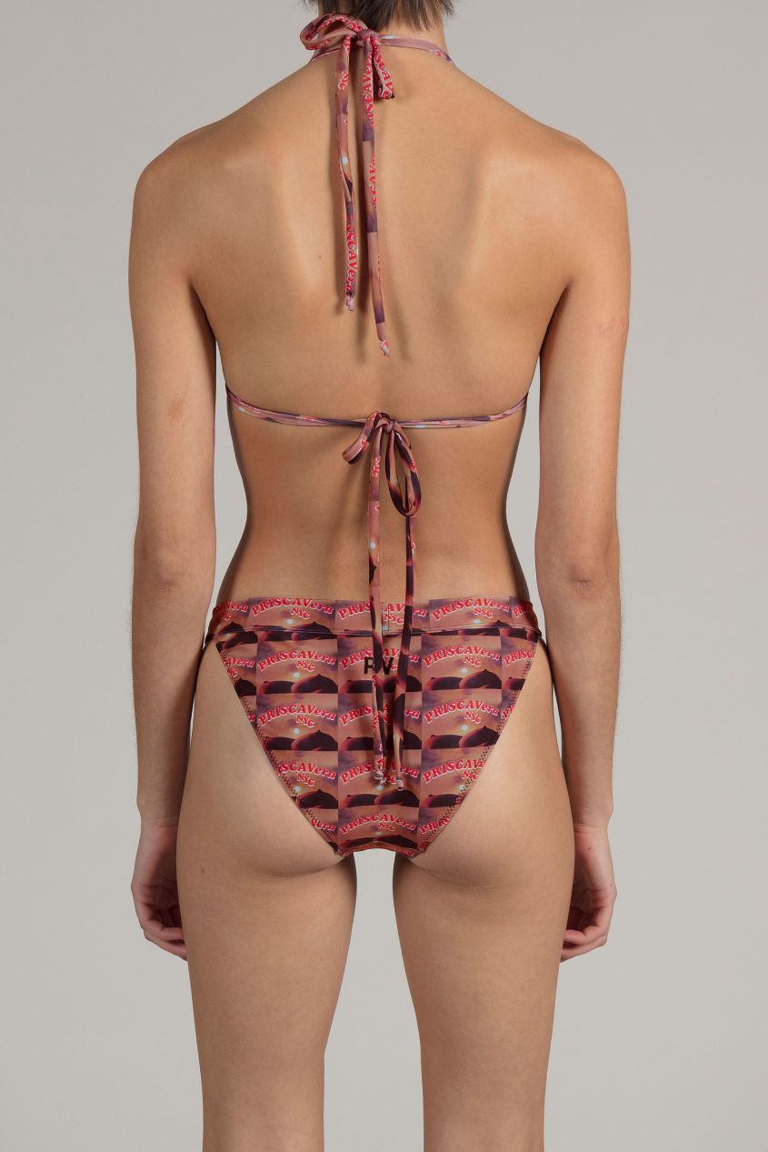 Printed Sunset Tits Triangle Bikini Top
