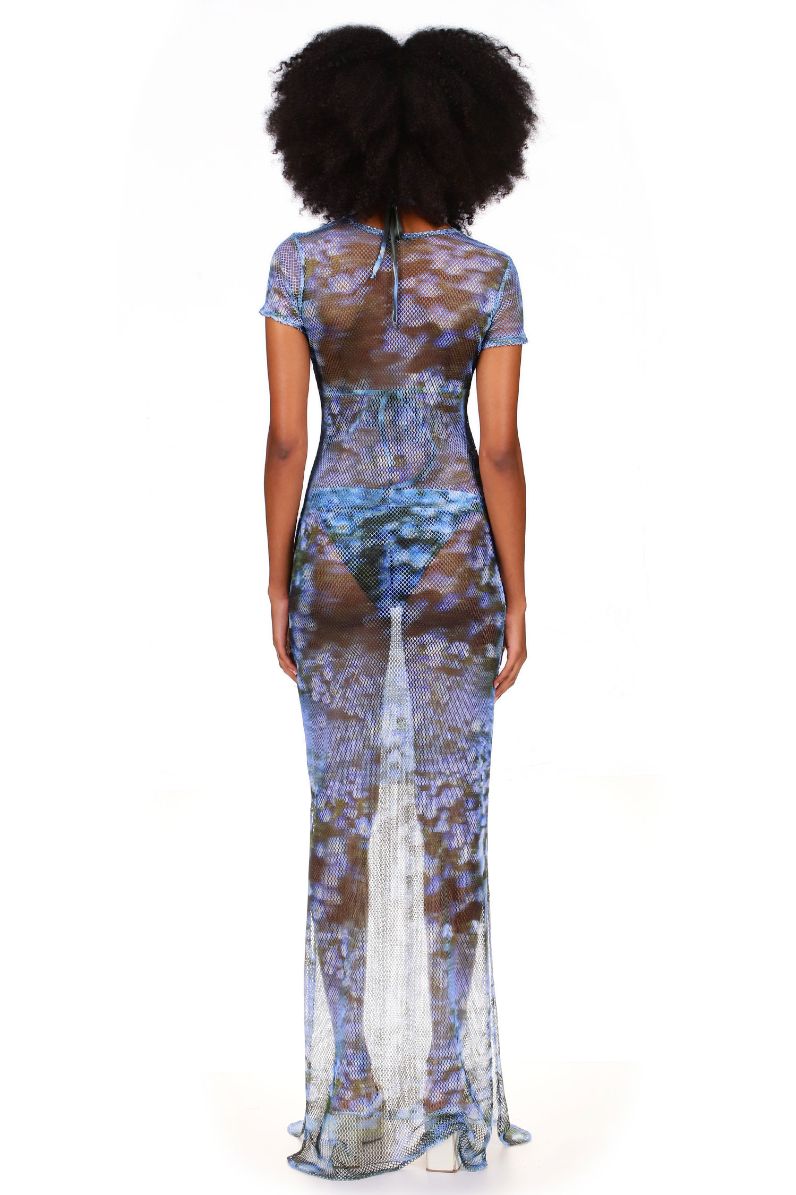Superbloom Netting Printed Maxi Dress